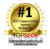 Professional Ebook Writers